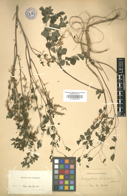 LE 01005714
