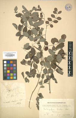 LE 01005716