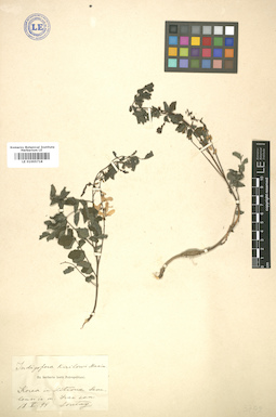 LE 01005718