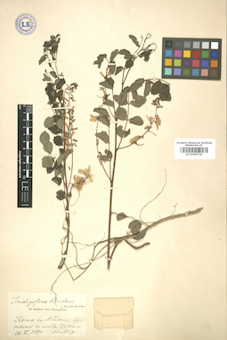 LE 01005720