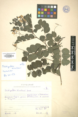 LE 01005723