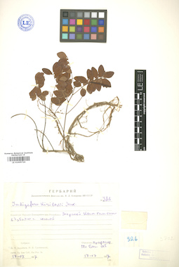 LE 01005724