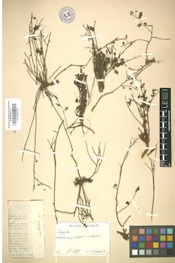 LE 01005725