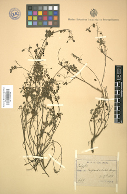 LE 01005728