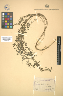 LE 01005730