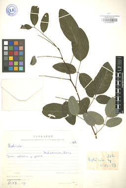 LE 01005732