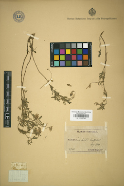 LE 01005742