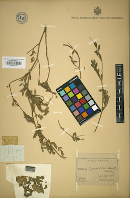 LE 01005743