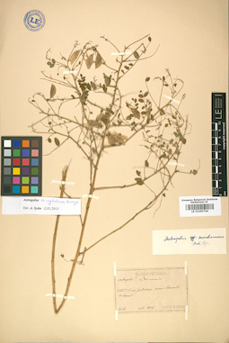LE 01005744