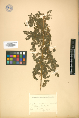 LE 01005746