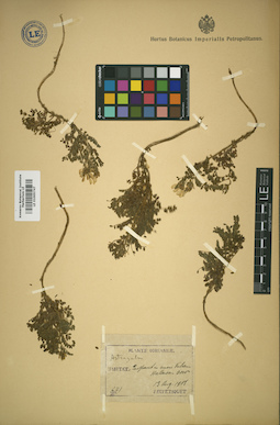 LE 01005747