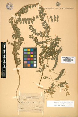 LE 01005749