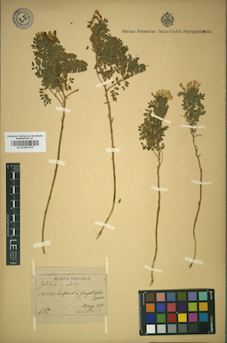 LE 01005750