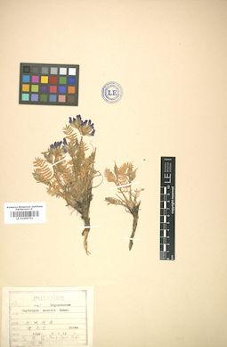 LE 01005751