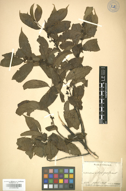 LE 01005764