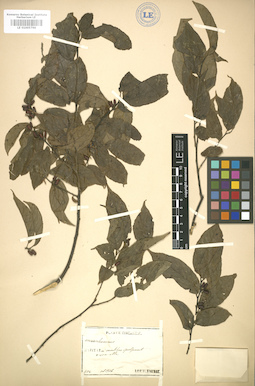 LE 01005766