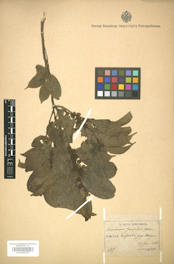 LE 01005767