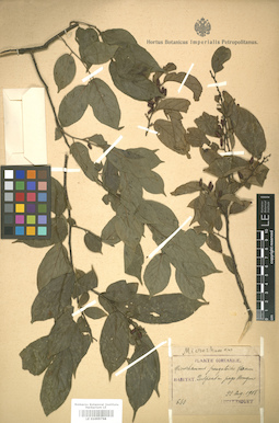 LE 01005768