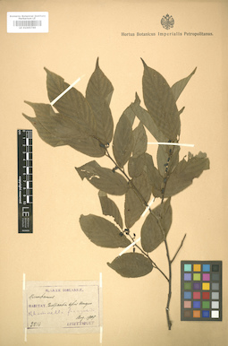 LE 01005769