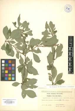 LE 01005774