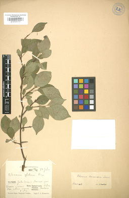 LE 01005777