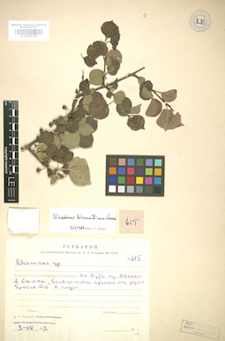 LE 01005779