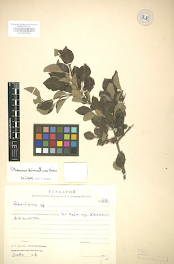LE 01005780