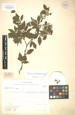 LE 01005786