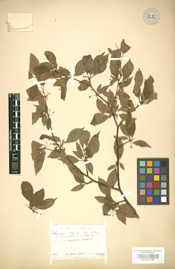LE 01005788