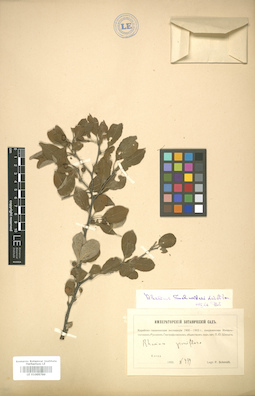 LE 01005789