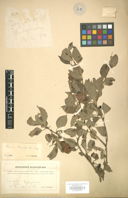 LE 01005790