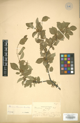 LE 01005792