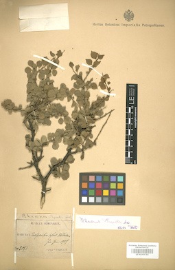 LE 01005795