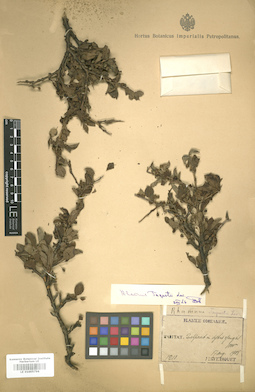 LE 01005796