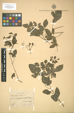 LE 01005814