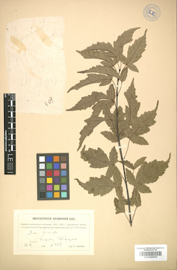 LE 01005820