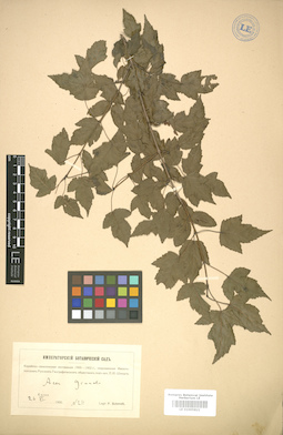 LE 01005821