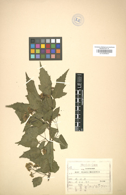 LE 01005823