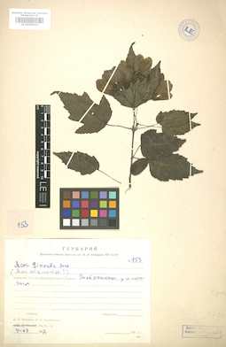 LE 01005824