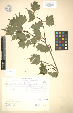 LE 01005827