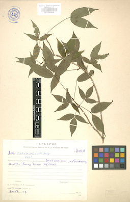 LE 01005828