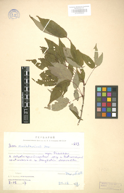 LE 01005829