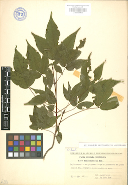 LE 01005830