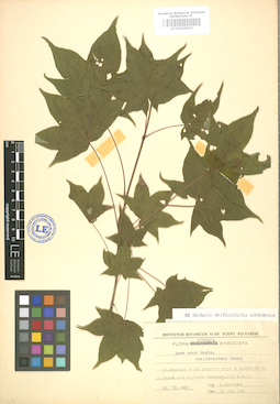 LE 01005833