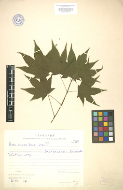 LE 01005834