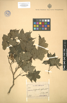 LE 01005835