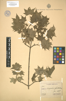 LE 01005836