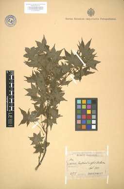 LE 01005842