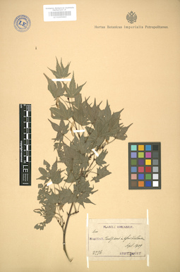 LE 01005843