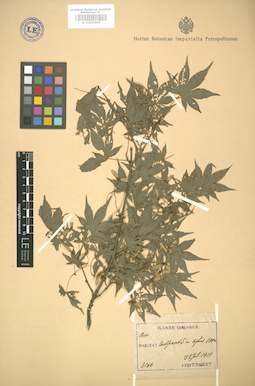 LE 01005845